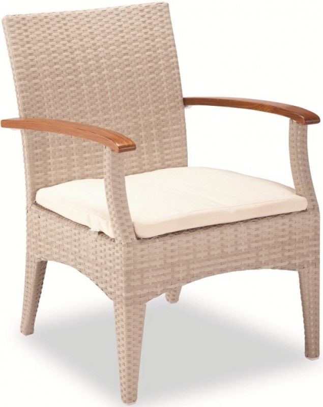 NEO-DS-139 Rattan Teak Arm Chair